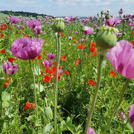 Ferienwohnung Mohnblume Rosdorf  Buitenkant foto