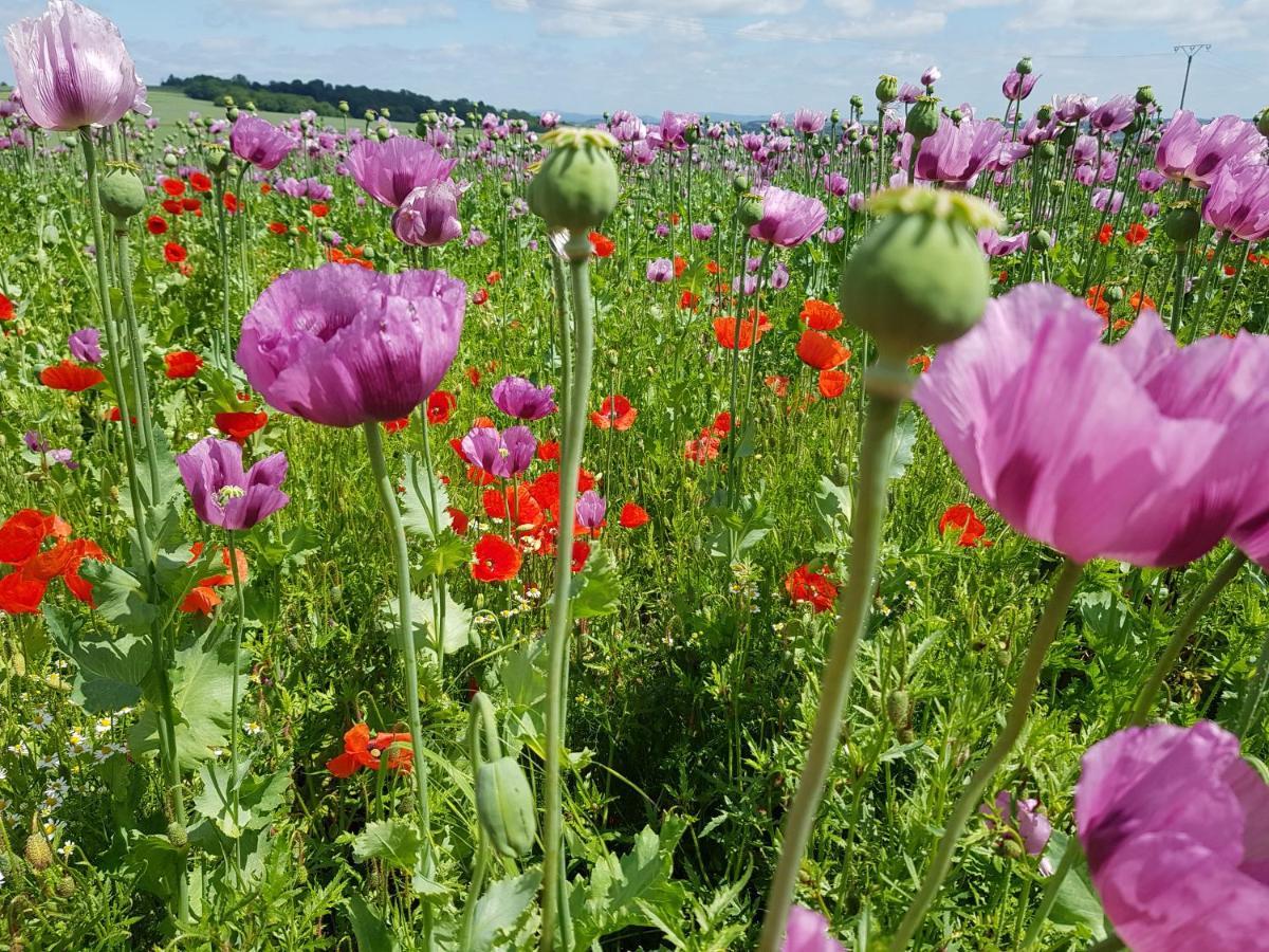 Ferienwohnung Mohnblume Rosdorf  Buitenkant foto